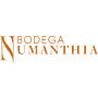 Numanthia Termes